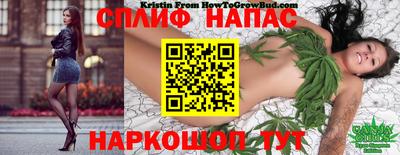 гидропоника Бузулук