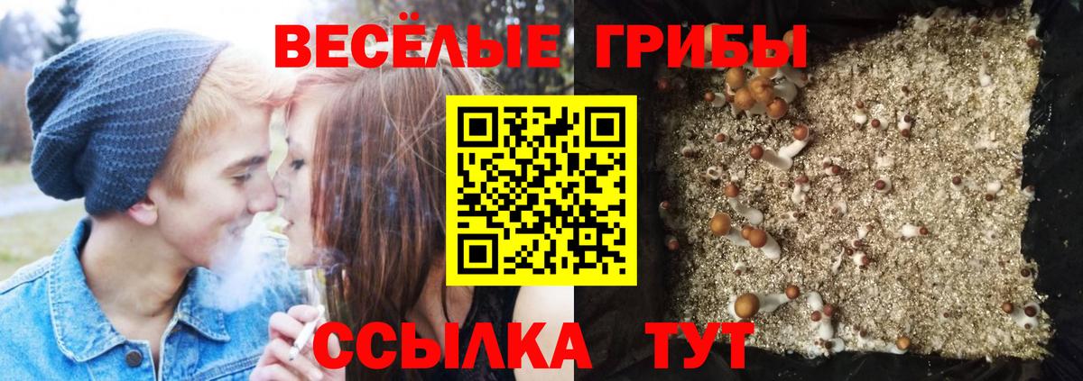 Усть-Кут  Псилоцибиновые грибы GOLDEN TEACHER  Вход с VPN 